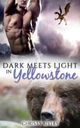 Icon image Dark Meets Light in Yellowstone: (BBW paranormal dragon shifter alpha male romance fated mates western romantic suspense)