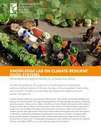 Icon image Knowledge lab on climate-resilient food systems: An analytical support facility to achieve the SDGs