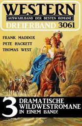 Icon image Western Dreierband 3061