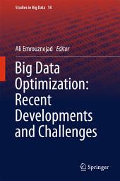 Icon image Big Data Optimization: Recent Developments and Challenges