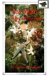 Icon image Sea Stars: Stars of the Sea: Educational Version