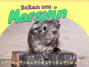 Icon image Boken om marsvin