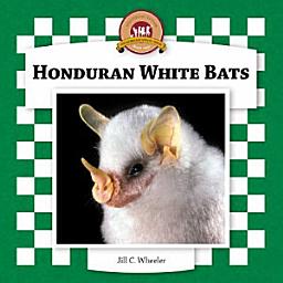 Icon image Honduran White Bats