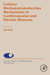 Icon image Cellular Mechanotransduction Mechanisms in Cardiovascular and Fibrotic Diseases