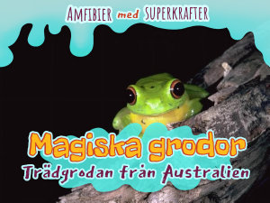 Icon image Magiska grodor: Trädgrodan från Australien