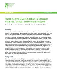 Icon image Rural income diversification in Ethiopia: Patterns, trends, and welfare impacts