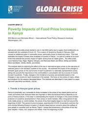 Icon image Poverty impacts of food price increases in Kenya