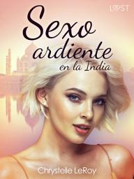 Icon image Sexo ardiente en la India - un relato corto erótico