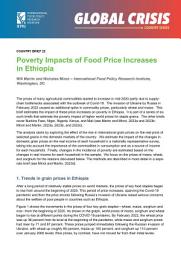 Icon image Poverty impacts of food price increases in Ethiopia