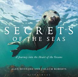 Icon image Secrets of the Seas: A Journey into the Heart of the Oceans