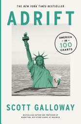 Icon image Adrift: 100 Charts that Reveal Why America is on the Brink of Change