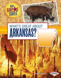 Icon image What's Great about Arkansas?