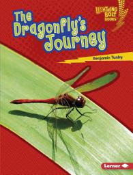 Icon image The Dragonfly's Journey