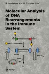 Icon image Molecular Analysis of DNA Rearrangements in the Immune System