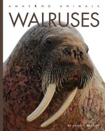 Icon image Walruses