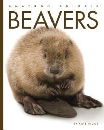 Icon image Beavers