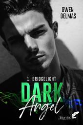 Icon image Dark Angel, tome 1 : Bridgelight