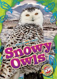 Icon image Snowy Owls