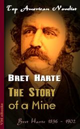 Icon image The Story of a Mine: Top American Novelist