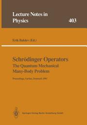 Icon image Schrödinger Operators The Quantum Mechanical Many-Body Problem: Proceedings of a Workshop Held at Aarhus, Denmark 15 May - 1 August 1991