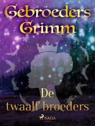 Icon image De twaalf broeders: Volume 55