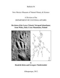 Icon image Revision of the Lower Triassic Tetrapod Ichnofauna of Wiory, Holy Cross Mountains, Poland: Bulletin 56