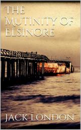 Icon image The Mutiny of the Elsinore