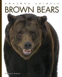 Icon image Brown Bears