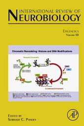 Icon image Epigenetics