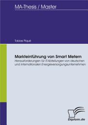 Icon image Markteinführung von Smart Metern - Herausforderungen für IT-Abteilungen von deutschen und internationalen Energieversorgungsunternehmen