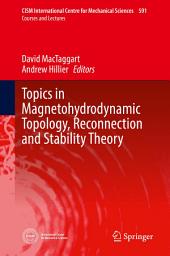 Icon image Topics in Magnetohydrodynamic Topology, Reconnection and Stability Theory