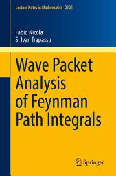 Icon image Wave Packet Analysis of Feynman Path Integrals