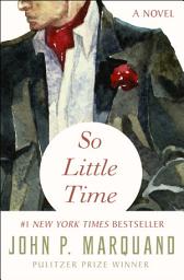 Icon image So Little Time: A Novel