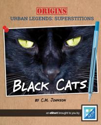 Icon image Black Cats: Read Along or Enhanced eBook