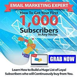 Icon image Email Marketing Expert