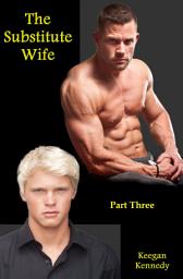 Icon image The Substitute Wife - Part 3 - Gay Erotic Romance