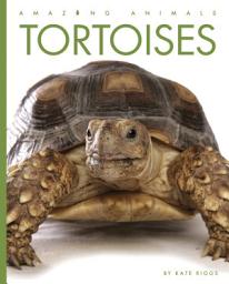 Icon image Tortoises