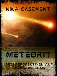 Icon image Meteorit: Drei Perspektiven auf den Einschlag