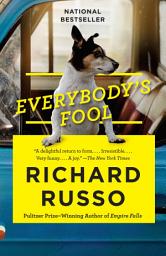 Icon image Everybody's Fool: A novel