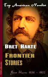 Icon image Frontier Stories: Top American Novelist