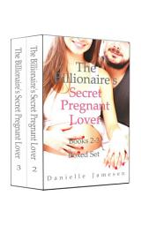 Icon image The Billionaire's Secret Pregnant Lover 2-3 Boxed Set