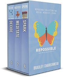 Icon image Repossible Box Set 2: Decide, Meditate, Spark