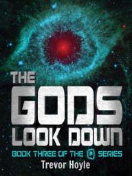 Icon image The Gods Look Down: Book Three of the Q Series