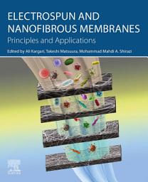 Icon image Electrospun and Nanofibrous Membranes: Principles and Applications