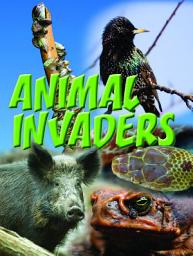 Icon image Animal Invaders