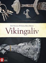 Icon image Vikingaliv