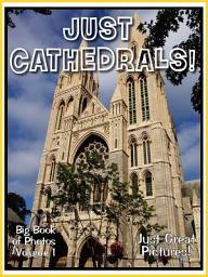 Icon image Just Cathedrals! vol. 1: Big Book of Photographs & Church Cathedral Pictures