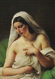 Icon image L’Odalisca di Francesco Hayez. Tecnica Pittorica e restauro