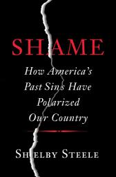 Icon image Shame: How America's Past Sins Have Polarized Our Country