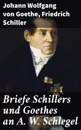 Icon image Briefe Schillers und Goethes an A. W. Schlegel: Aus den Jahren 1795 bis 1801, und 1797 bis 1824, nebst einem Briefe Schlegels an Schiller